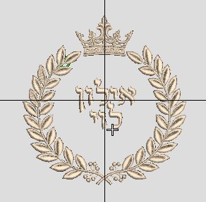 עלים עם כדורים-15