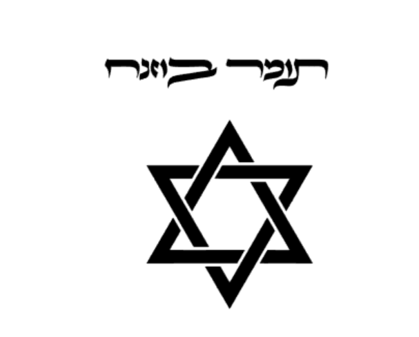 6 - תומר בוזנח